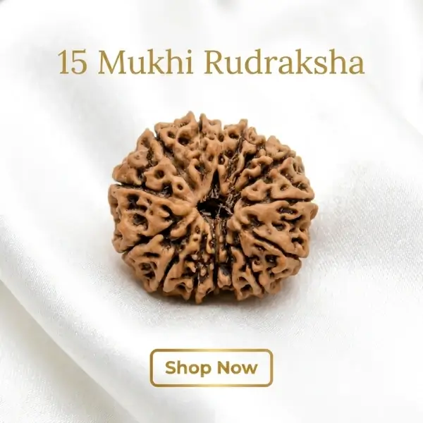 15 mukhi rudraksha benefits