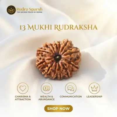 13 mukhi rudraksha benefits