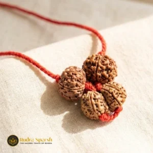 Shiv Parivar Rudraksha Kawach