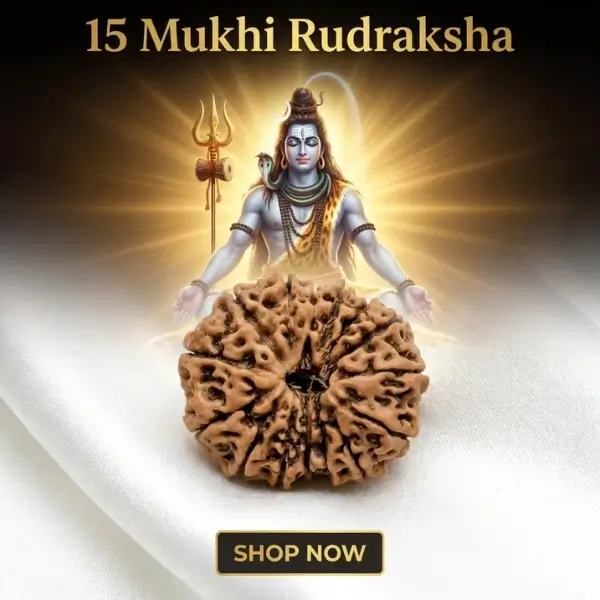 15 mukhi rudraksha benefits