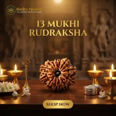 13 mukhi rudraksha benefits
