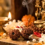 12 mukhi rudraksha benefits
