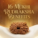 16 mukhi rudraksha benefits