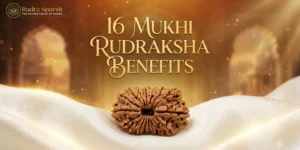 16 mukhi rudraksha benefits