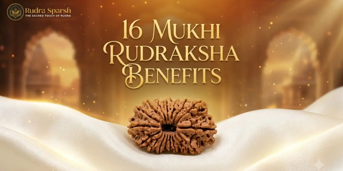 16 mukhi rudraksha benefits