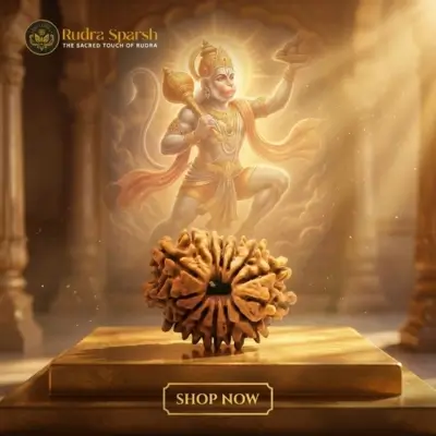 14 Mukhi Rudraksha Benefits
