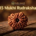 13 mukhi rudraksha benefits