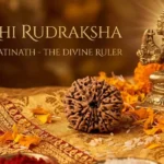 15 mukhi rudraksha benefits