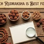 which rudraksha is best for me
