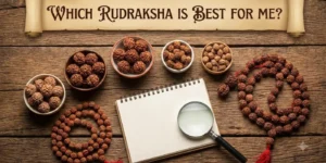 which rudraksha is best for me